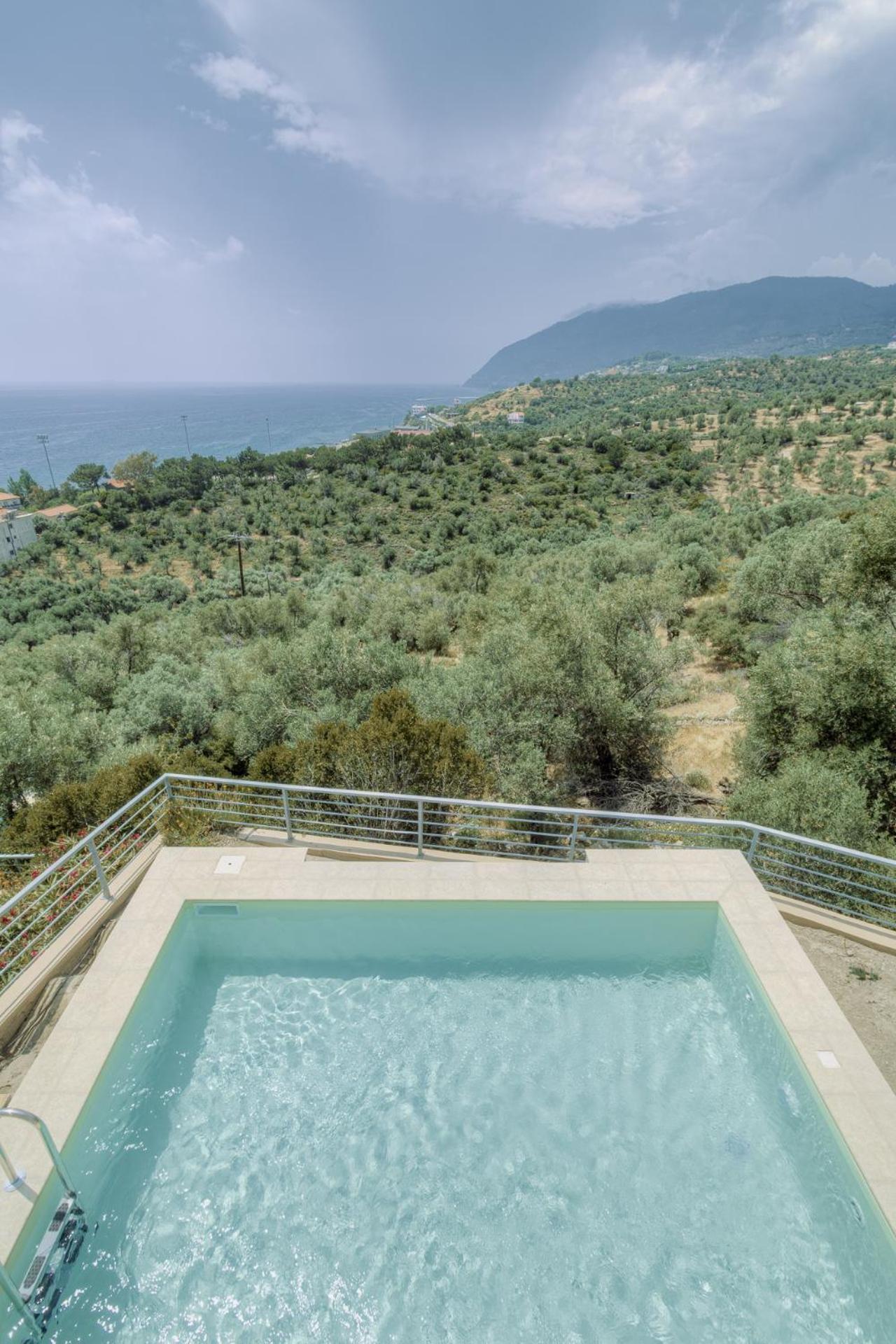 Ouzo Panoramic Houses 1, With Private Pool Plomari Extérieur photo